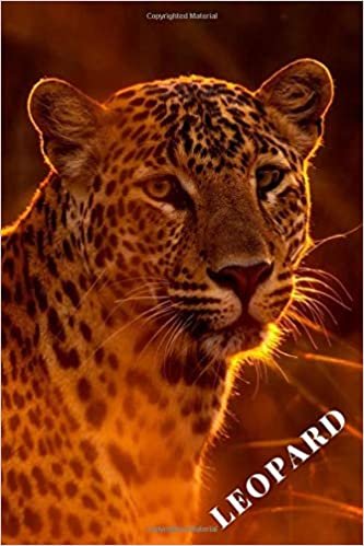 Leopard: Notebook with Animals for Kids, Notebook for Coloring Drawing and Writing (Realistic Colors, 110 Pages, Unlined, 6 x 9)(Animal Glossy Notebook)