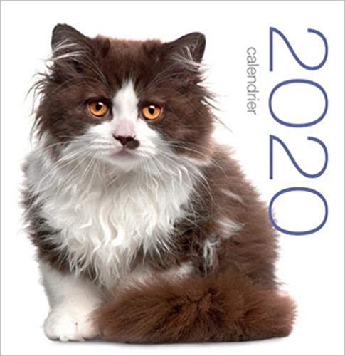 Calendrier mural 2020 - Chats