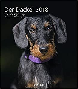 2018 Sausage Dog Calendar - Wall Calendar - Animal Calendar- Dog Calendar-  30 x 34 cm