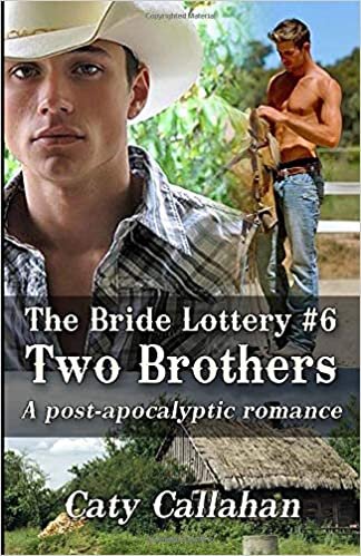 THE BRIDE LOTTERY, BOOK 6: TWO BROTHERS indir