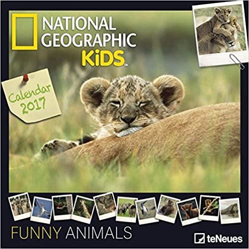 2017 Funny Animals Calendar - teNeues Grid Calendar - National Geographic - Humour Calendar - 30 x 30 cm indir