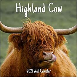 Highland Cow 2021 Wall Calendar: Highland Cow Calendar 2021, 18 Months. indir