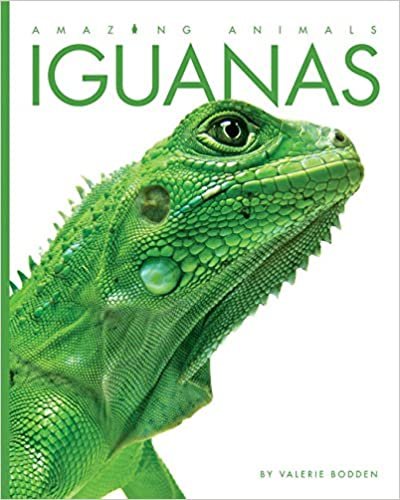Amazing Animals: Iguanas indir