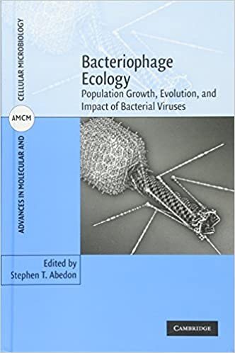 Bacteriophage Ecology: Population Growth, Evolution, and Impact of Bacterial Viruses (Advances in Molecular and Cellular Microbiology, Band 15)