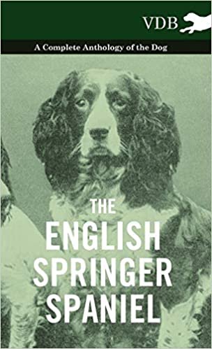 The English Springer Spaniel - A Complete Anthology of the Dog