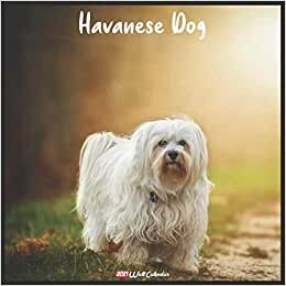 Havanese Dog 2021 Wall Calendar: Official Havanese Dog Calendar 2021, 18 Months