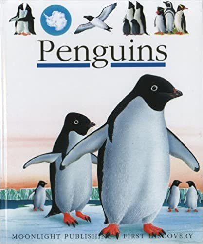 Penguins (First Discovery, Band 51)