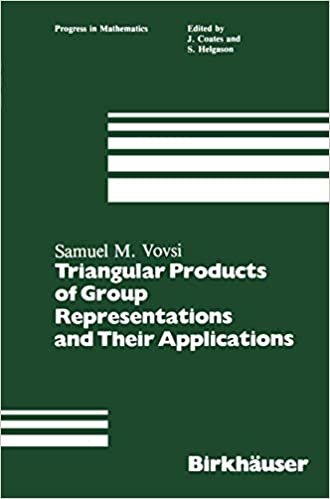 Triangular Products of Group Representations and Their Applications (Progress in Mathematics (17), Band 17)