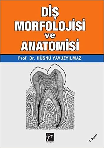 Diş Morfolojisi ve Anatomisi indir