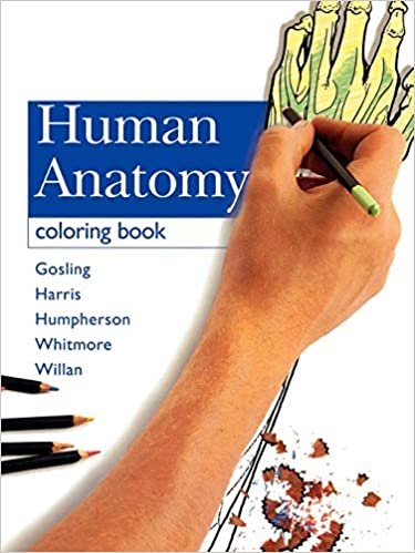 Human Anatomy Coloring Book, 1e