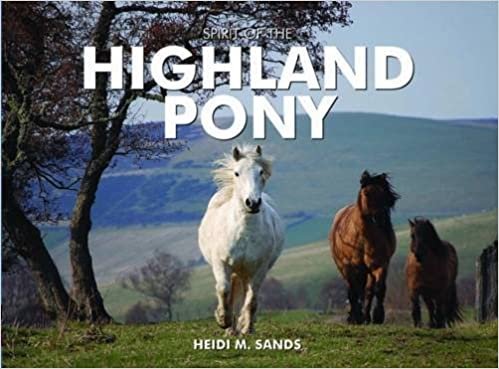 Spirit of the Highland Pony indir