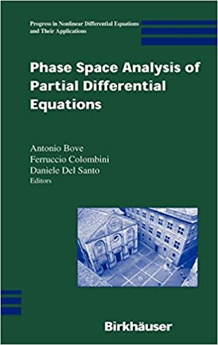 Phase Space Analysis of Partial Differential Equations (Progress in Nonlinear Differential Equations and Their Applications)
