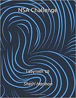 NSA Challenge: Labyrinth 10 indir