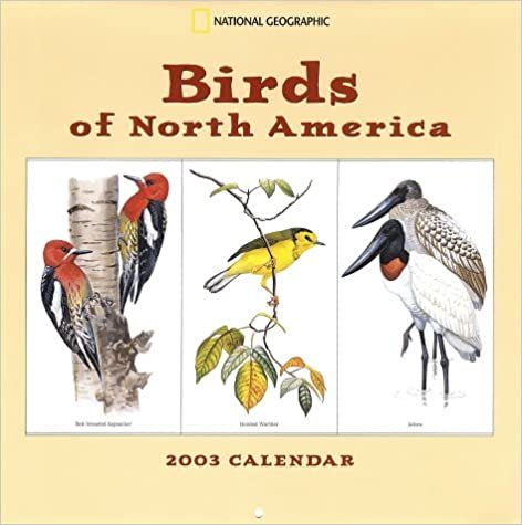 Birds of North America 2003 Calendar