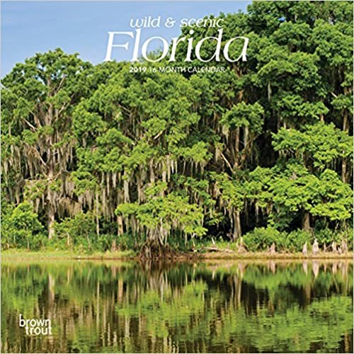 Wild & Scenic Florida 2019 Calendar