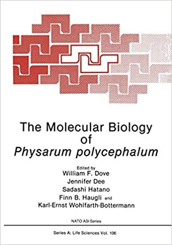 The Molecular Biology of Physarum polycephalum (Nato Science Series A (closed))