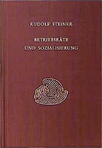 Betriebsräte und Sozialisierung.  Diskussionsabende mit den Arbeiterausschüssen der grossen Betriebe Stuttgarts, 1919 indir