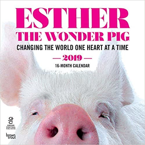 Esther the Wonder Pig 2019 Square Wall Calendar