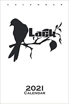 sleep Type Lark early Riser Bird Tree Calendar 2021: Annual Calendar for Late risers or early risers