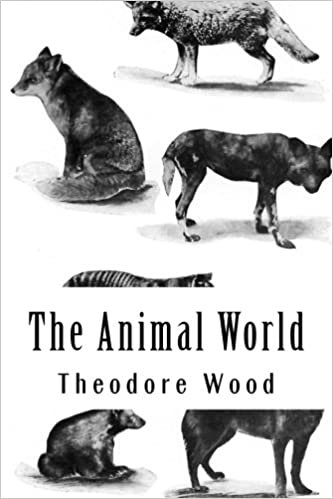 The Animal World: A Book of Natural History