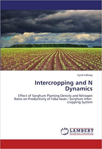 Intercropping and N Dynamics: Effect of Sorghum Planting Density and Nitrogen Rates on Productivity of Faba bean / Sorghum Inter-cropping System