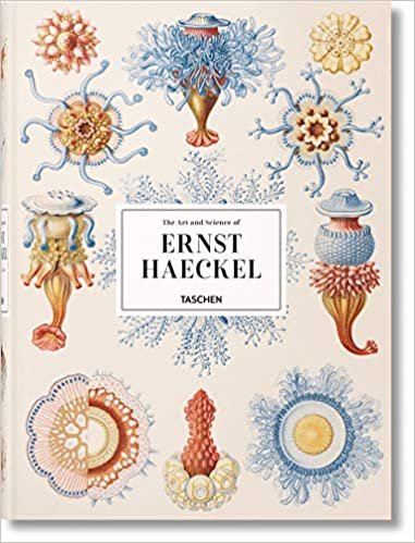 Ernst Haeckel: HAECKEL-TRILINGUE (TD) indir