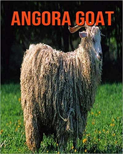 Angora Goat: Amazing Photos & Fun Facts Book About Angora Goat For Kids