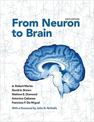 From Neuron to Brain indir