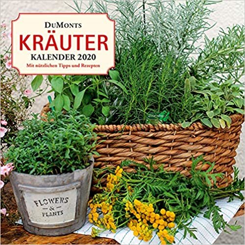 Bühring, U: DuMonts Kräuter-Kalender 2020 - Broschürenkal