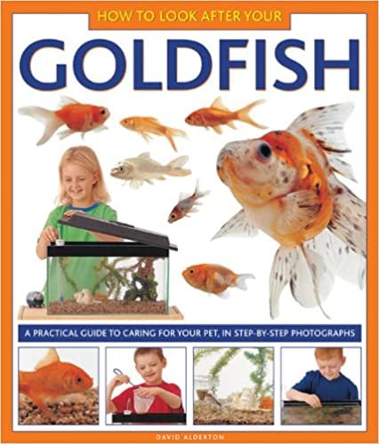 How to Look After Your Goldfish : A Practical Guide To Caring For Your Pet, In Step-By-Step Photographs