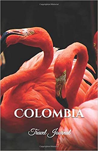 Colombia Travel Journal: Perfect Size 100 Page Notebook Diary