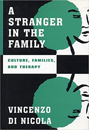 A Stranger in the Family: Culture, Families, and Therapy (Norton Professional Books)