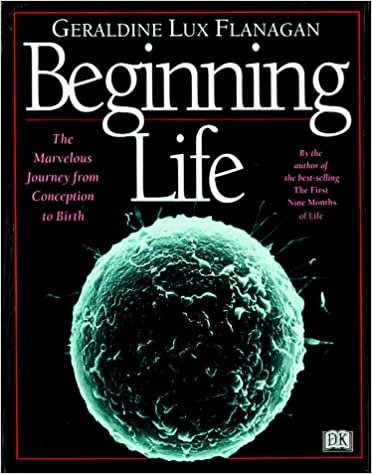 Beginning Life indir