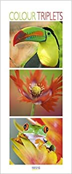 Colour Triplets 2021: Schmaler Wandkalender. Foto-Kunstkalender mit farblich abgestimmten Bildern. PhotoArt Vertikal. 28,5 x 69 cm. Edles Foliendeckblatt. indir
