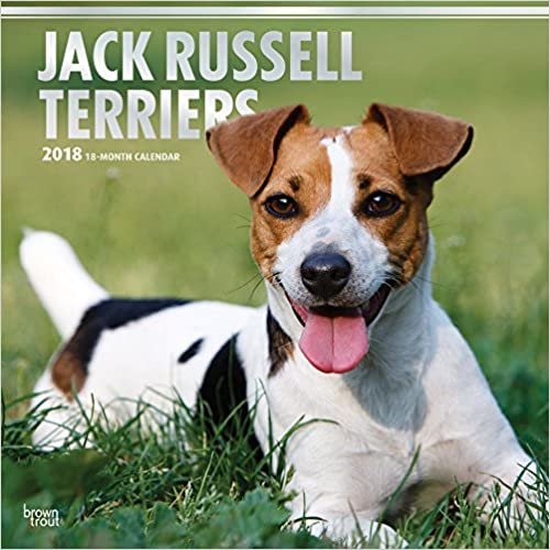 Jack Russell Terriers 2018 Wall Calendar