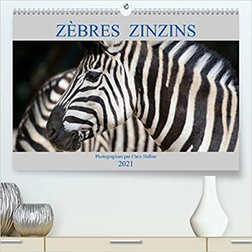 Zbres Zinzins (Premium, hochwertiger DIN A2 Wandkalender 2021, Kunstdruck in Hochglanz): Portraits du Zbre des Plaines ou de Burchell (Equus ... mensuel, 14 Pages ) (CALVENDO Animaux)