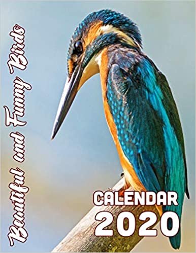 Beautiful and Funny Birds Calendar 2020: 14-Month Desk Calendar Showing Some Strange and Beautiful Animals on Wing