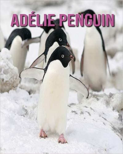 Adélie Penguin: Fun Facts and Amazing Photos of Animals in Nature