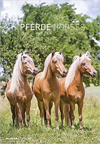 Pferde 2020 - Horses - Bildkalender (24 x 34) - Tierkalender - Wandkalender indir