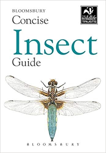 Concise Insect Guide (The Wildlife Trusts)