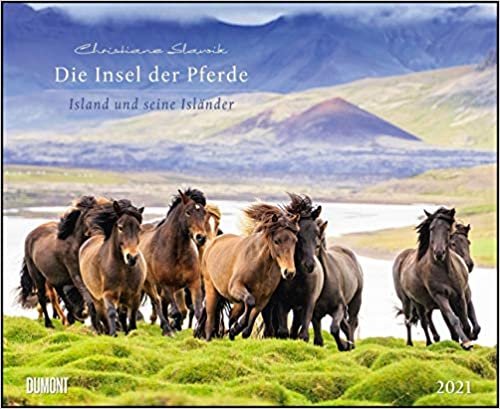 Die Insel der Pferde: Island und seine Isländer 2021 - Pferde-Kalender im Querformat