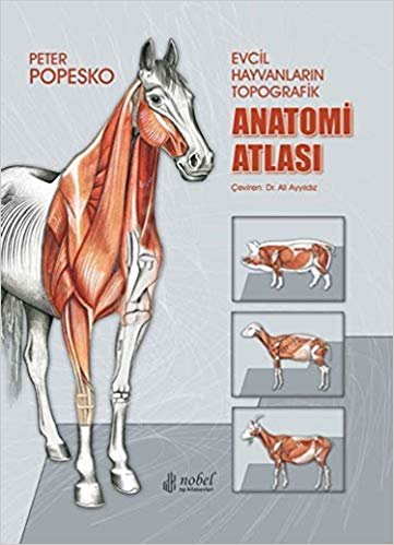 Evcil Hayvanların Topografik Anatomi Atlası