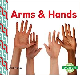 Arms & Hands (Your Body)