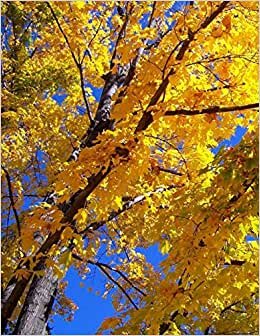 Notebook: Autumn Fall Leaves Maple Tree Yellow Season Harvest Solstice Red Brown