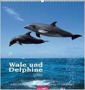 Wale und Delphine 2006.