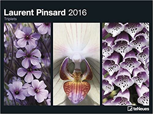 2016 Laurent Pinsard - Triplets 64 x 48 Poster Calendar