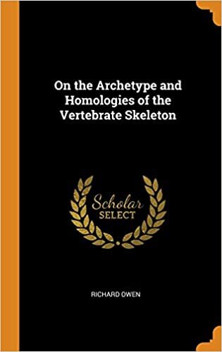 On the Archetype and Homologies of the Vertebrate Skeleton