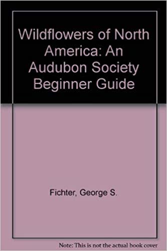 Wildflowers of North America: An Audubon Society Beginner Guide