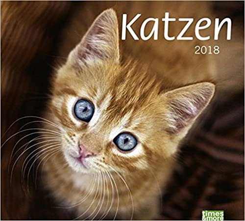 times&more Katzen Bildkalender - Kalender 2018