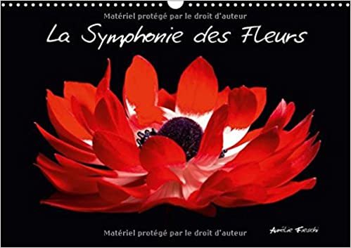 La Symphonie Des Fleurs 2017: Venez Decouvrir Mon Univers Graphique Et Colore, Charge De Sensations Visuelles. (Calvendo Nature)